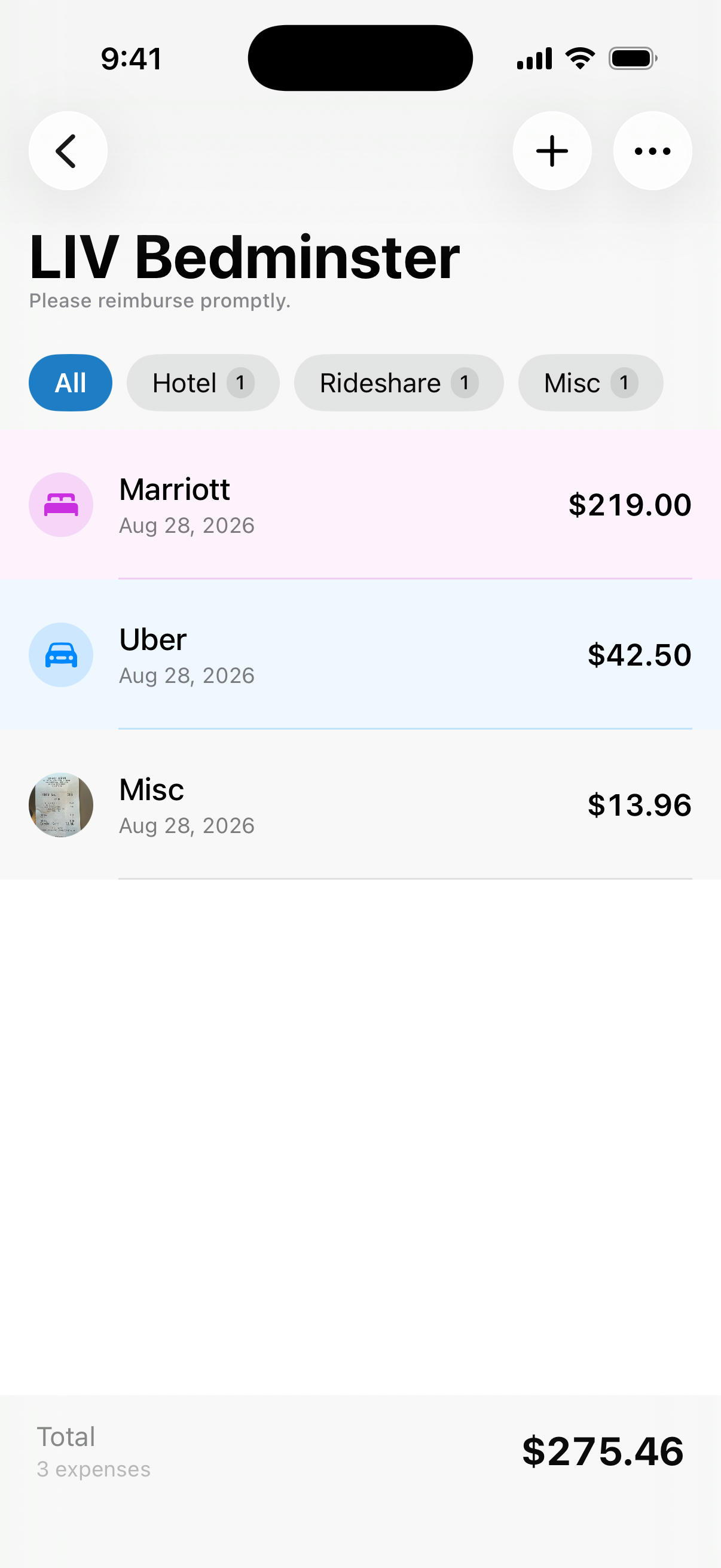TripStub trip detail screen showing hotel, rideshare, and food expenses